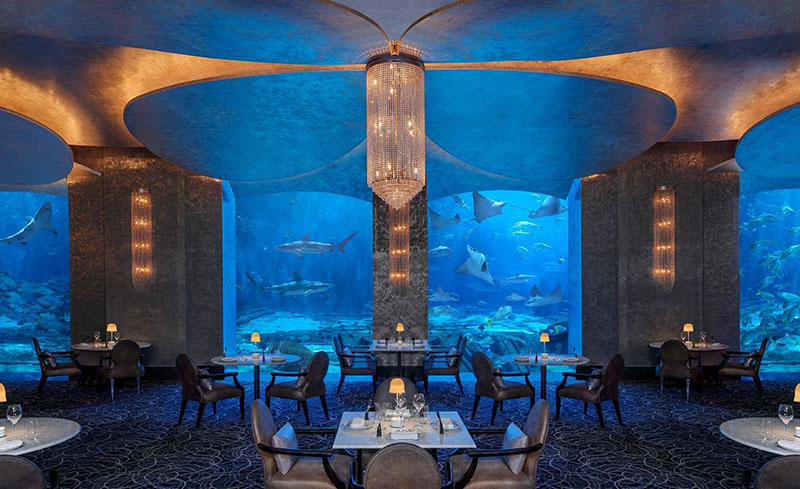 هیجان و تفریح بی‌حد و مرز در بزرگ‌ترین پارک آبی دبی! 