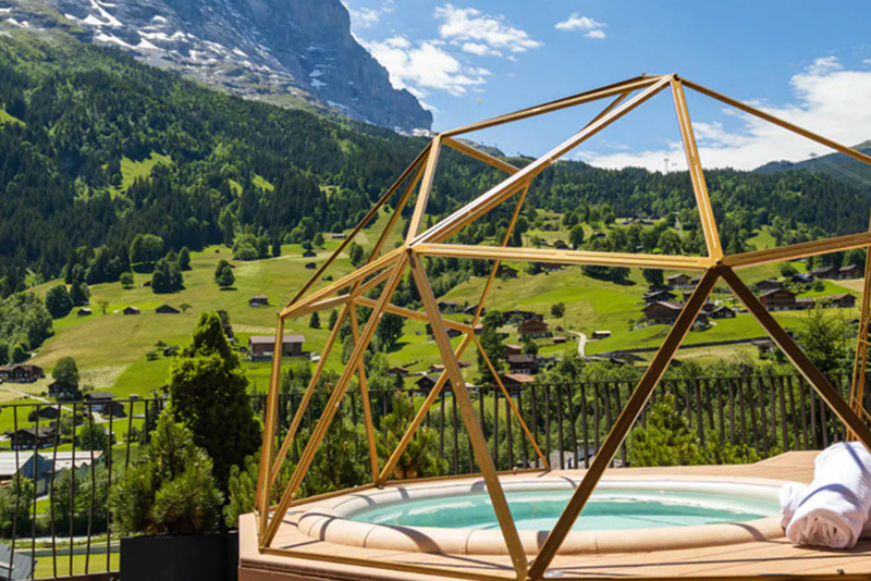 گرین‌دوالد، سوئیس